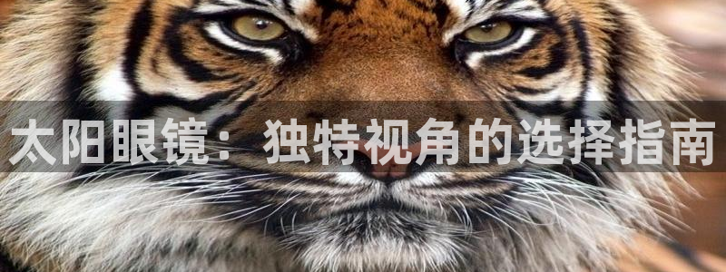 jdb电子什么游戏好玩