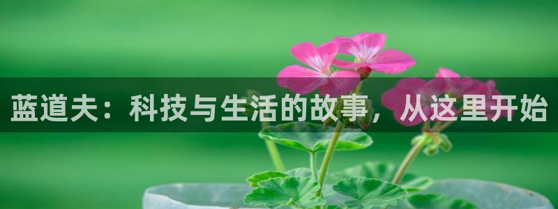 jdba1.3下载
