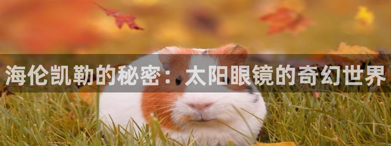 Jdb电子官网