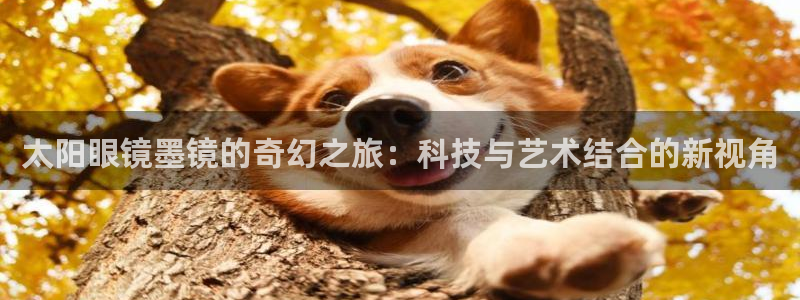 jdb夺宝游戏公司
