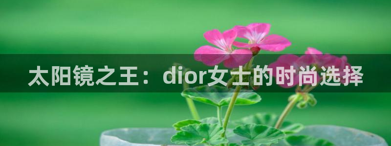 jdb电子平台台湾黑熊
