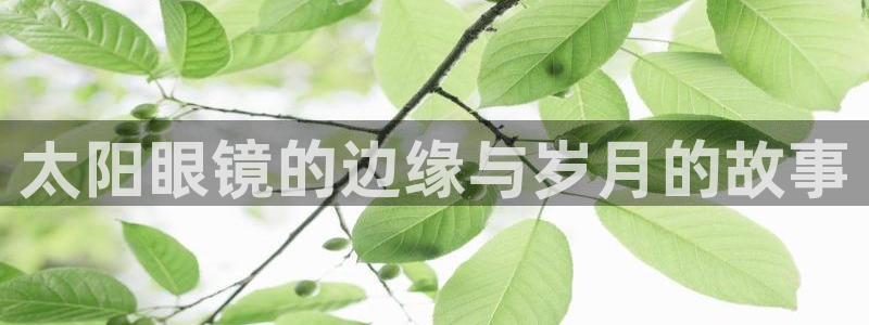 电子游艺jdb变脸