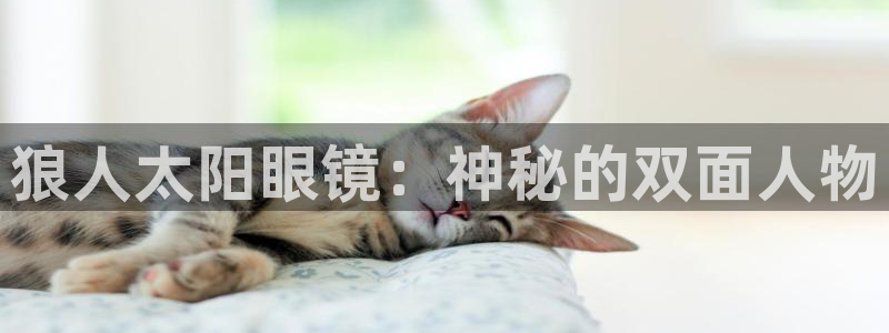 JDB电子游戏试玩
