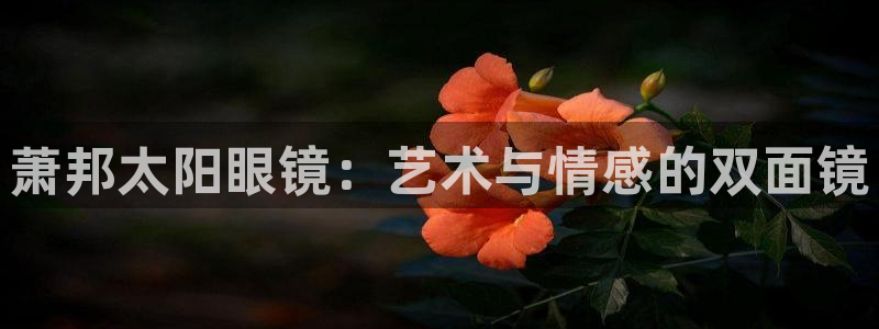 jdb电子台湾黑熊怎么玩