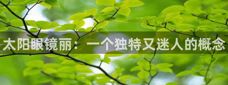 JDB电子维护