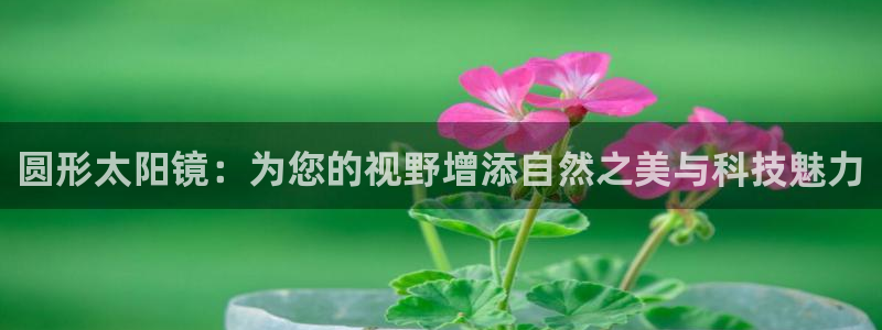jdb电子什么游戏好玩