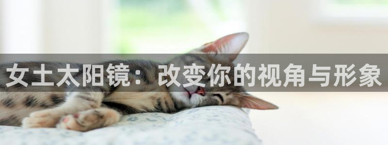 jdb电子平台台湾黑熊