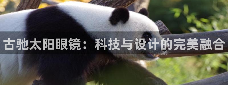 jdb试玩2000在线