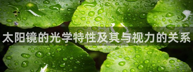 jdb电子平台台湾黑熊