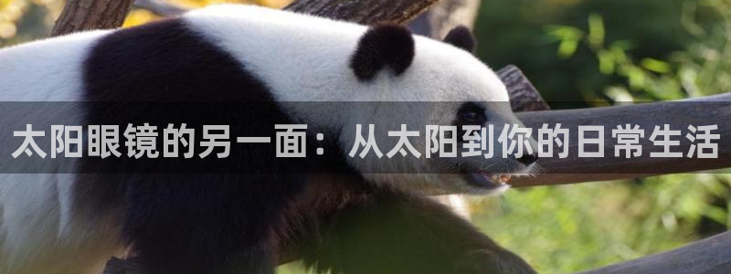 JDB电子官方