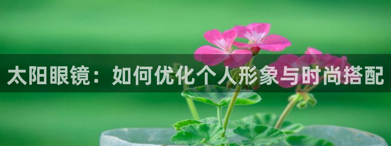 jdb电子平台台湾黑熊