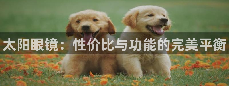 jdb电子游戏模拟器