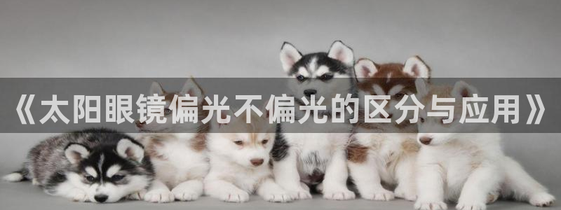 jdb电子官网网址