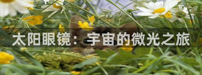 jdb电子变脸无限金币