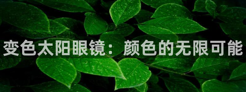 JDB电子猎龙高手官方网站官方网站是多少