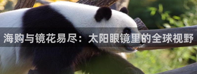 jdb平台是哪个公司