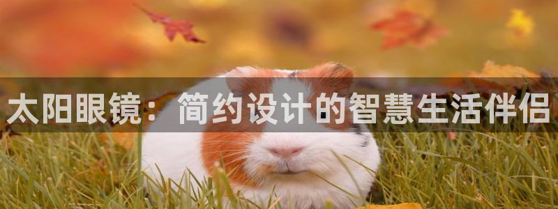 jdb电子游戏平台网站