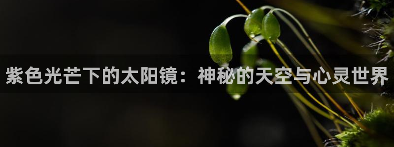 jdb电子游戏辅助软件