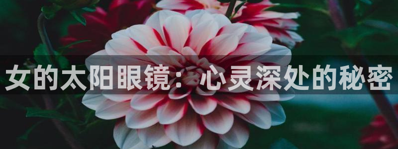 jdb飞鸟派发大奖视频