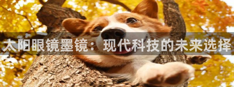 jdb飞鸟派对有输钱的吗